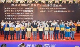 深圳地产最新爆料,揭秘未来热点区域与价格走势